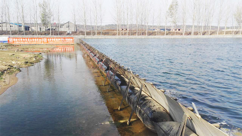 ɽ�|���_(t��i)��܉�